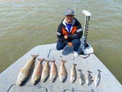 7 Redfish caught in TX