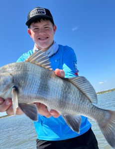 Angler with a large black drum fish caught in TX