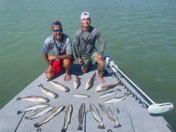 4 fish caught in Pleasanton