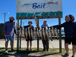9 fish caught while fishing in TX