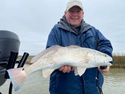 Caught a big Atlantic Croaker fish in TX