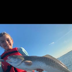 Redfish, 24-inch fish caught while fishing in TX