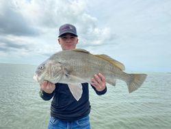 Black Drum fish caught in Pleasanton