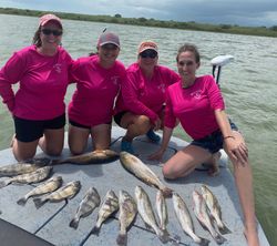 10 black drum fish caught in TX