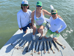9 bluefish caught in TX