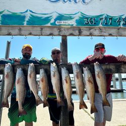 8 redfish caught in TX during cruises and fishing