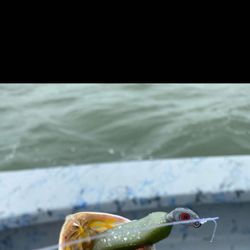 Fishing adventure in TX