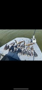 Fishing in TX
