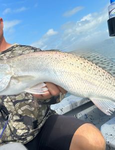 A fishing trip in TX