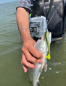 Fishing in TX