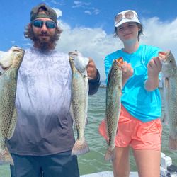 Four spotted weakfish, fishing in Pleasanton