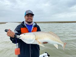 Angler with 26-inch fish in TX