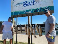 Eight black drum and redfish caught in TX