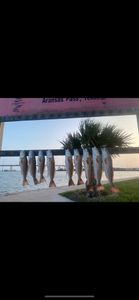Fishing in Pleasanton