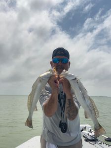 Two fish caught in Pleasanton