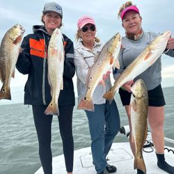 5 redfish caught at Pleasanton fishing location