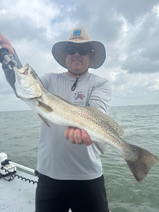 Beautiful Port Aransas Speckled Trout makes the trip worthwhile!