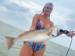 Redfish, 28 inches, fishing in TX