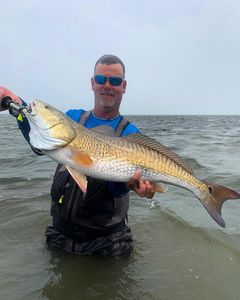 Redfish caught in Pleasanton