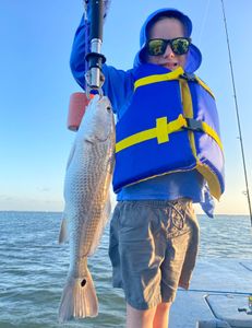 Redfish caught in TX