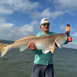 Redfish caught while cruising and fishing in Pleasanton