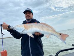 Redfish caught in TX