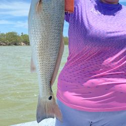 Redfish caught while fishing in TX