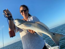 A large redfish caught in Pleasanton