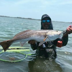 Redfish, 31-inch catch in TX