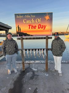 Display of caught speckled trout at fishing dock in Rockport-Fulton, Texas