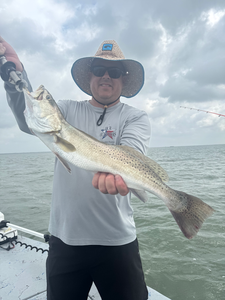 Port Aransas speckled trout showing off those beautiful spots!