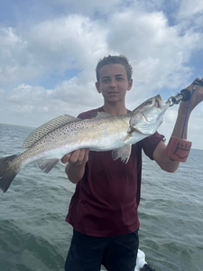 Beautiful Port Aransas speckled trout from today's trip!