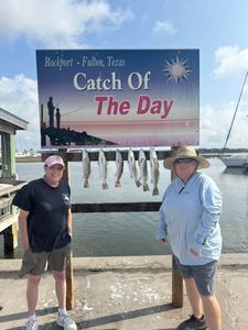 Five speckled trout displayed on fishing catch board at Rockport-Fulton, Texas marina