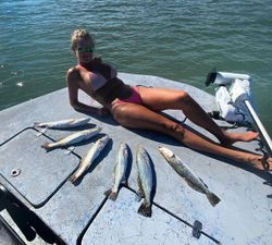 5 fishing rod and reel with Texas location