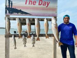 9 redfish, spotted weakfish, and black drum caught in TX