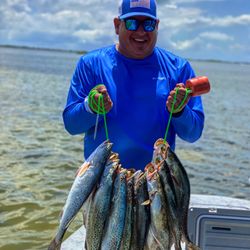 Three fish caught in TX during a fishing trip