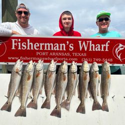 Seven redfish caught in TX