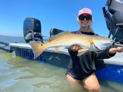Redfish caught in TX