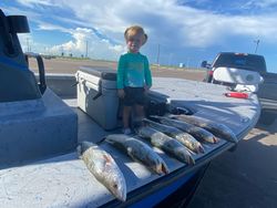 Three big blue catfish and bartail flathead caught in TX