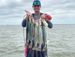 Three spotted weakfish caught in Pleasanton