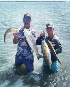 Triumphant catch of three redfish in Texas