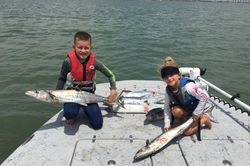 Two king mackerel, 24 inches long, caught while fishing in TX