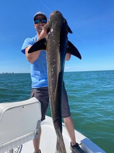 Virginia Beach Fishing Charters Huge Cobia!