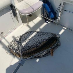 Cobia by the net in Virginia beach!