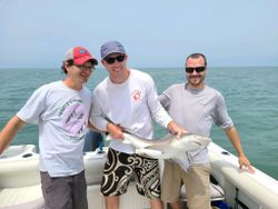 Shark hooked in Virginia Beach!