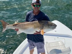 Angler with a 33-inch fish in VA