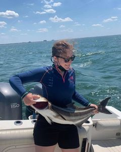Cobia fish caught while fishing in Virginia Beach