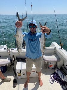 Two Spanish Mackerel fish caught in VA