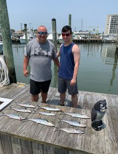 Two Spanish mackerel caught while fishing in Virginia Beach
