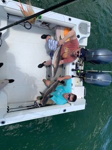 Two fishermen catching the best fish in Virginia Beach
